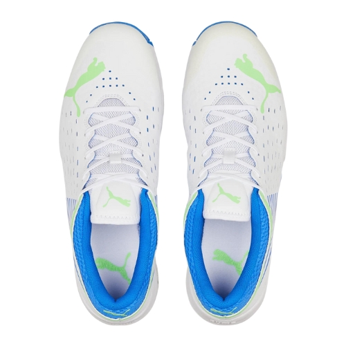 Puma Spike 22.1 Men's Cricket Shoes - Kloppers Sport